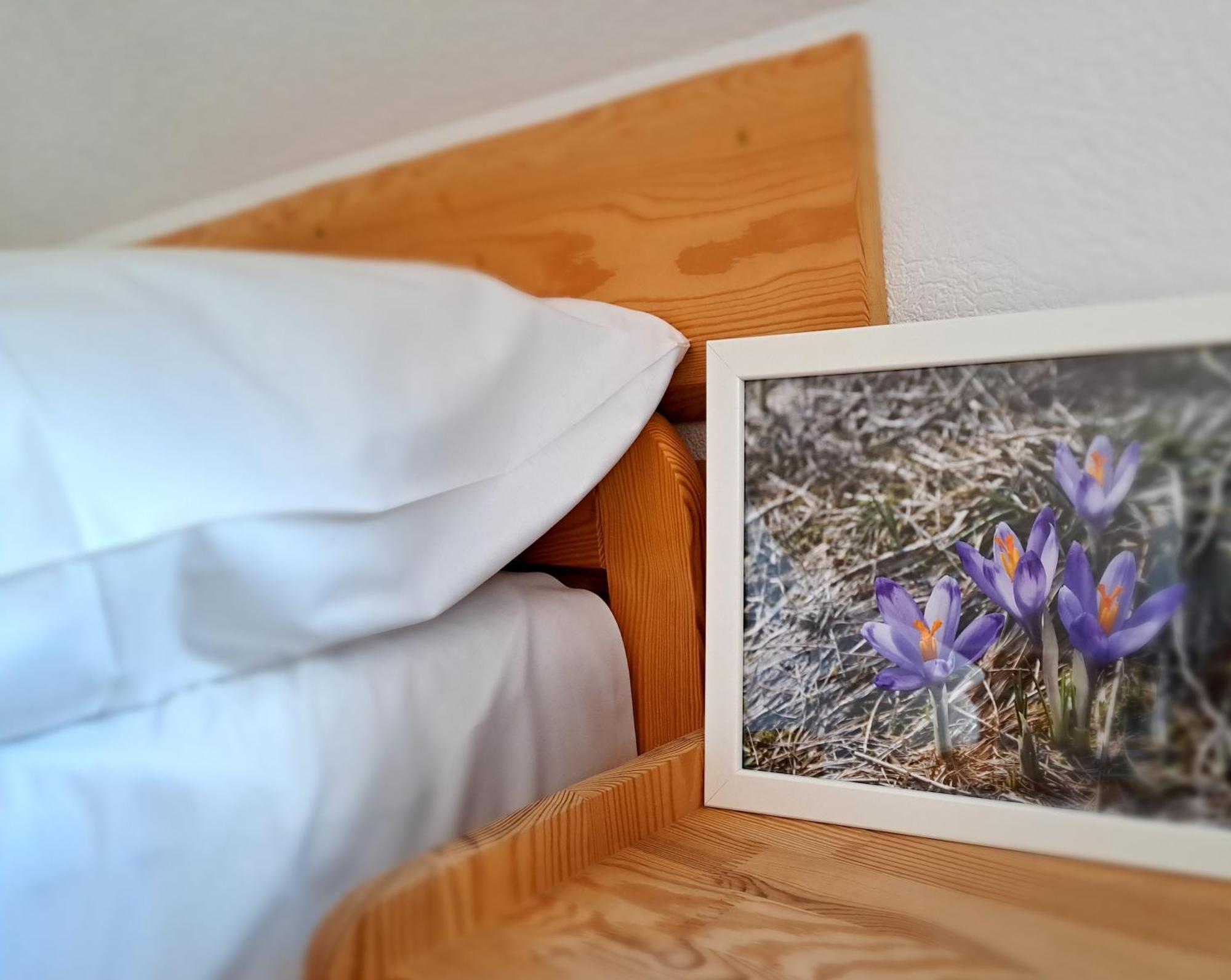 Przy Szlaku Zakopane Centrum Pokoje & Apartamenty Esterno foto